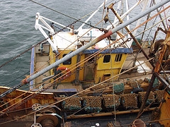fishing deck boat